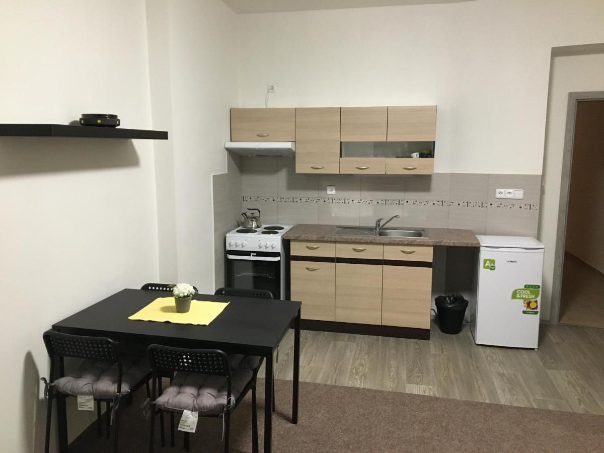 Apartmany U Muzea Decin Exterior photo